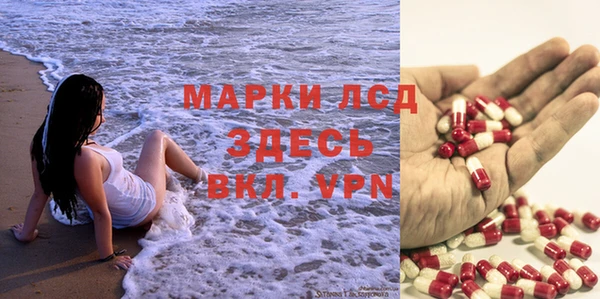 ГАЛЛЮЦИНОГЕННЫЕ ГРИБЫ Беломорск