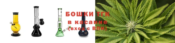 ГАЛЛЮЦИНОГЕННЫЕ ГРИБЫ Беломорск