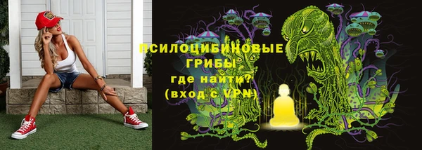 мяу мяу мука Белокуриха