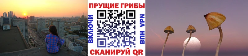 Галлюциногенные грибы мицелий  продажа наркотиков  Кубинка 